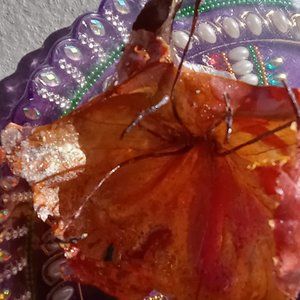 African Tulip in the Breeze - Class of September 2022